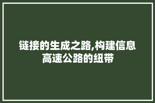 链接的生成之路,构建信息高速公路的纽带 操作系统