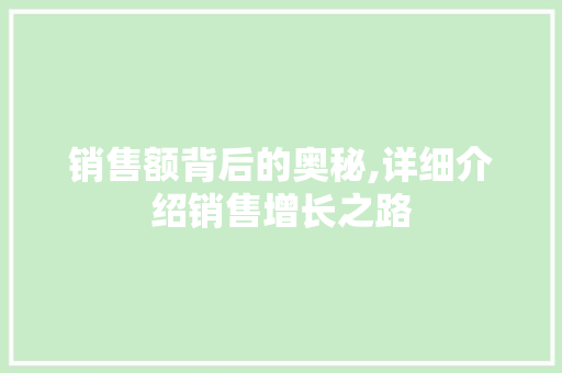 销售额背后的奥秘,详细介绍销售增长之路 电脑基础