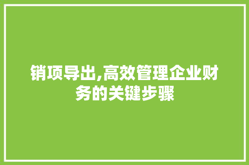 销项导出,高效管理企业财务的关键步骤 编程语言