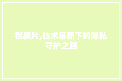 锁相片,技术革新下的隐私守护之路 电脑配置