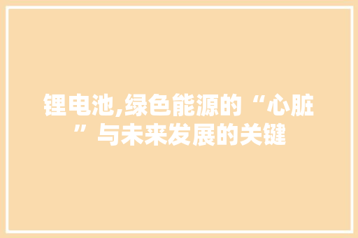 锂电池,绿色能源的“心脏”与未来发展的关键 编程语言