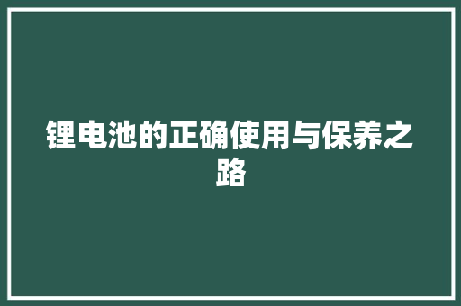 锂电池的正确使用与保养之路 电脑基础