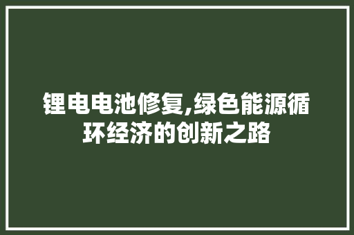 锂电电池修复,绿色能源循环经济的创新之路 电脑基础