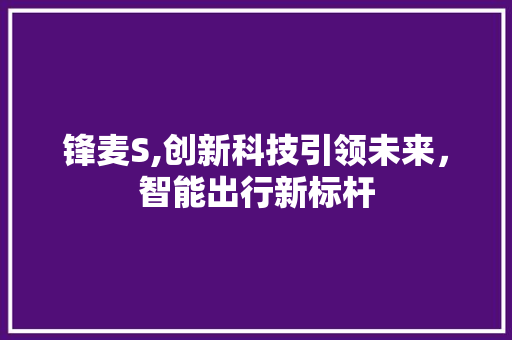 锋麦S,创新科技引领未来，智能出行新标杆 电脑基础