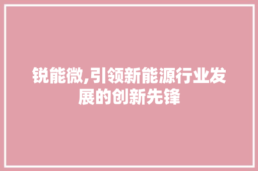锐能微,引领新能源行业发展的创新先锋