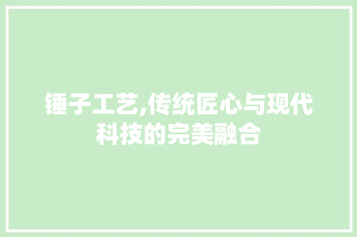 锤子工艺,传统匠心与现代科技的完美融合 操作系统