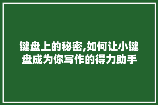 键盘上的秘密,如何让小键盘成为你写作的得力助手 编程语言