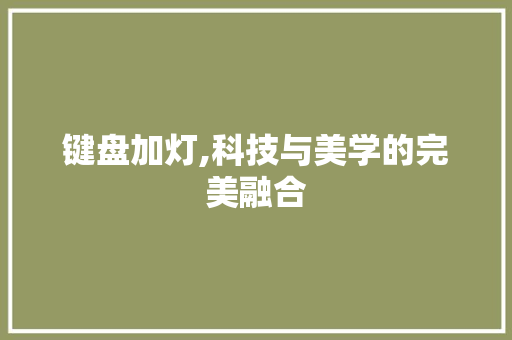 键盘加灯,科技与美学的完美融合