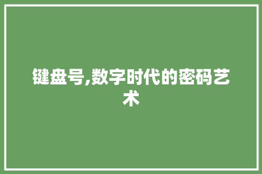 键盘号,数字时代的密码艺术