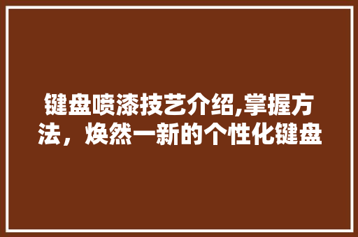 键盘喷漆技艺介绍,掌握方法，焕然一新的个性化键盘