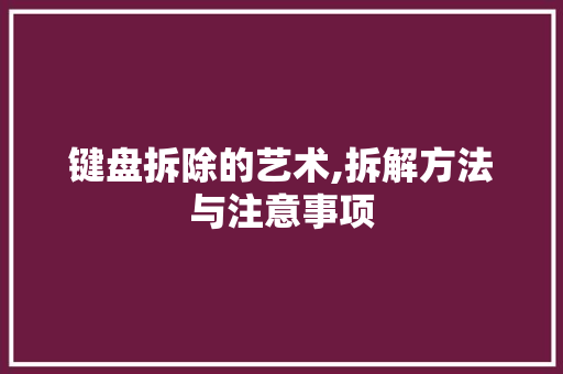 键盘拆除的艺术,拆解方法与注意事项 电脑故障维修 键盘拆除的艺术,拆解方法与注意事项 电脑故障维修