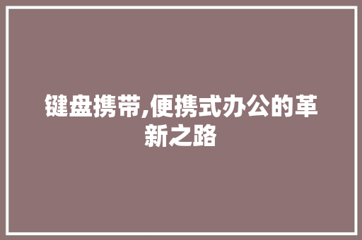 键盘携带,便携式办公的革新之路 操作系统
