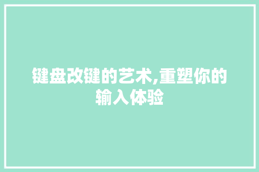 键盘改键的艺术,重塑你的输入体验 操作系统