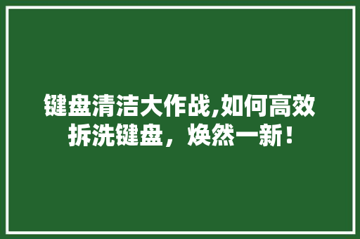 键盘清洁大作战,如何高效拆洗键盘,焕然一新! 电脑配置 键盘清洁大作战,如何高效拆洗键盘,焕然一新! 电脑配置