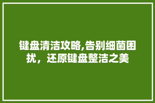 键盘清洁攻略,告别细菌困扰，还原键盘整洁之美 网络技术