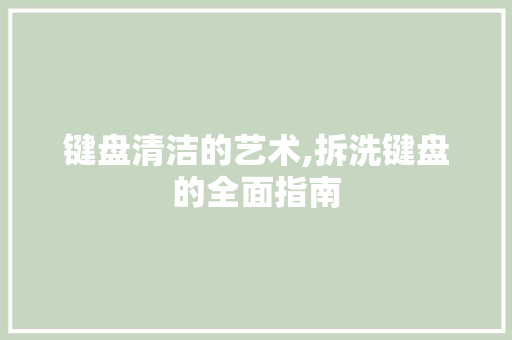 键盘清洁的艺术,拆洗键盘的全面指南 操作系统