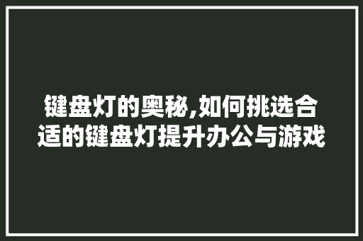 键盘灯的奥秘,如何挑选合适的键盘灯提升办公与游戏体验 网络技术