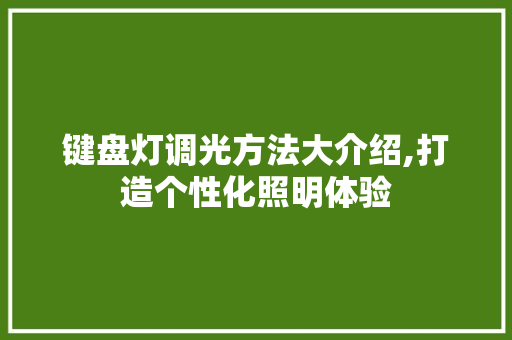 键盘灯调光方法大介绍,打造个性化照明体验 操作系统