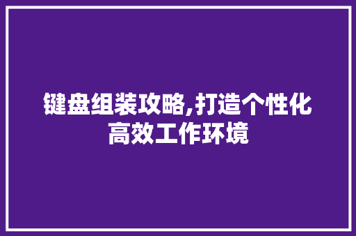 键盘组装攻略,打造个性化高效工作环境 编程语言