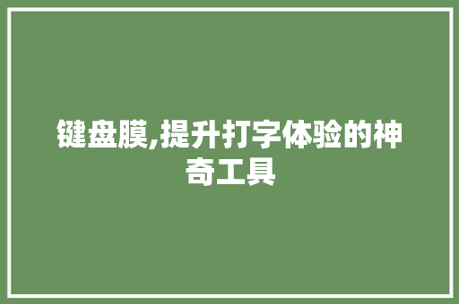 键盘膜,提升打字体验的神奇工具 电脑基础