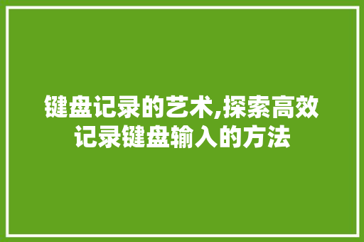 键盘记录的艺术,探索高效记录键盘输入的方法 编程语言 键盘记录的艺术,探索高效记录键盘输入的方法 编程语言