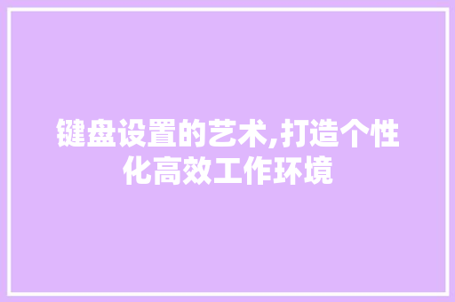 键盘设置的艺术,打造个性化高效工作环境 编程语言