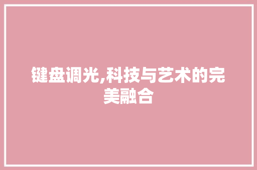 键盘调光,科技与艺术的完美融合 电脑基础