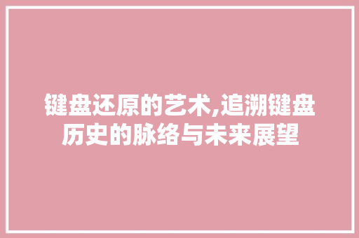 键盘还原的艺术,追溯键盘历史的脉络与未来展望 电脑基础