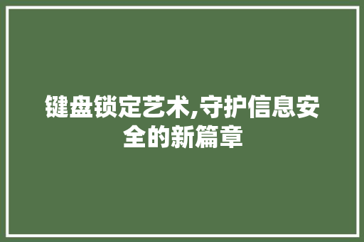 键盘锁定艺术,守护信息安全的新篇章 电脑基础 键盘锁定艺术,守护信息安全的新篇章 电脑基础