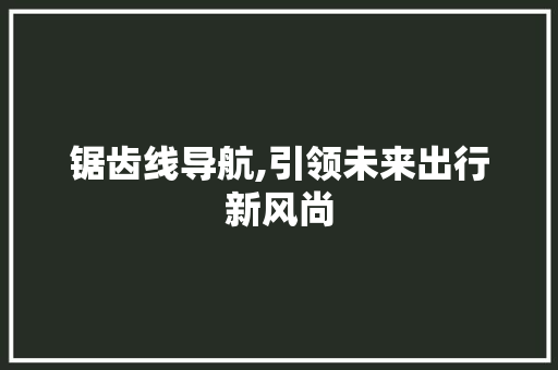 锯齿线导航,引领未来出行新风尚 电脑配置