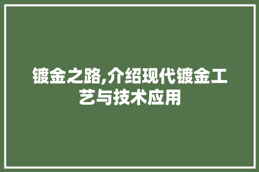镀金之路,介绍现代镀金工艺与技术应用 电脑配置
