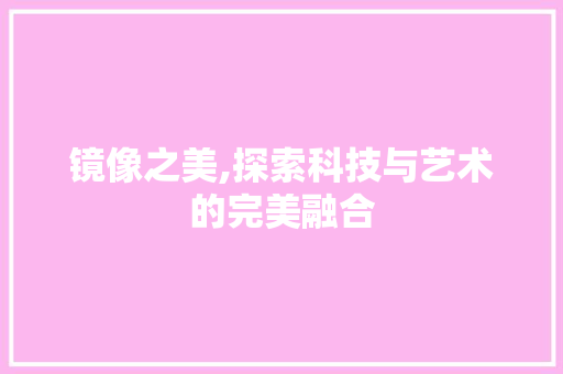 镜像之美,探索科技与艺术的完美融合 电脑基础