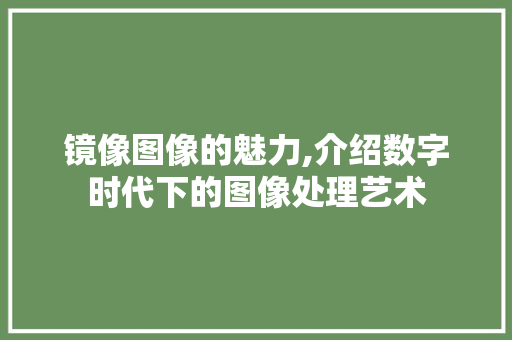 镜像图像的魅力,介绍数字时代下的图像处理艺术 电脑配置