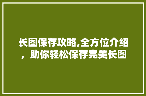 长图保存攻略,全方位介绍，助你轻松保存完美长图 电脑配置