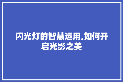 闪光灯的智慧运用,如何开启光影之美 网络技术