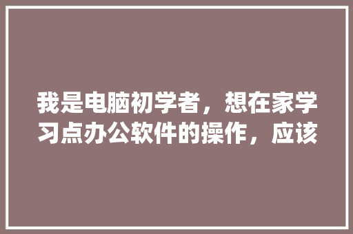 我是电脑初学者，想在家学习点办公软件的操作，应该怎么从何学起_电脑基础知识与操作视频 编程语言
