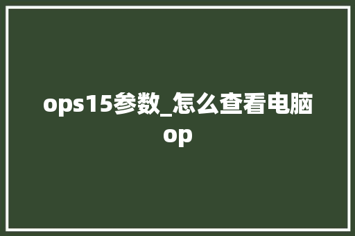ops15参数_怎么查看电脑op