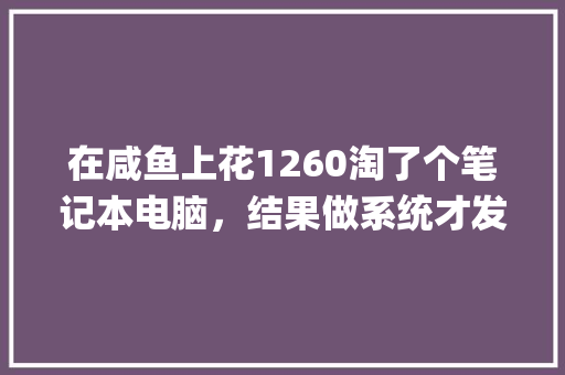 在咸鱼上花1260淘了个笔记本电脑，结果做系统才发现配置是刷的，我该怎么办_刷电脑怎么看配置高低