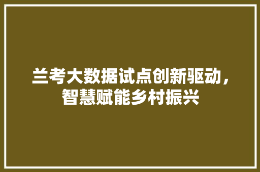 兰考大数据试点创新驱动，智慧赋能乡村振兴 电脑基础
