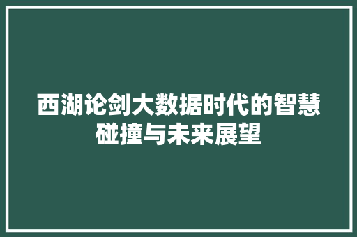 西湖论剑大数据时代的智慧碰撞与未来展望
