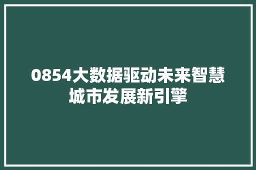 0854大数据驱动未来智慧城市发展新引擎