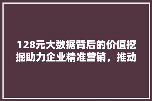128元大数据背后的价值挖掘助力企业精准营销，推动行业创新发展