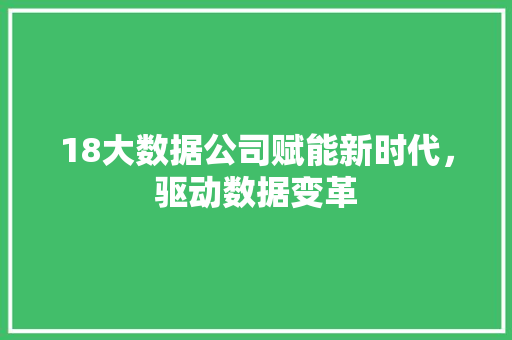 18大数据公司赋能新时代，驱动数据变革