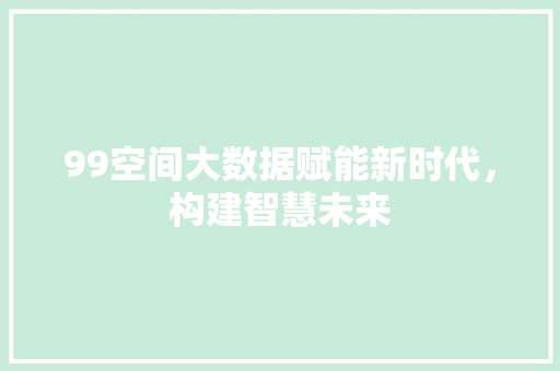 99空间大数据赋能新时代，构建智慧未来
