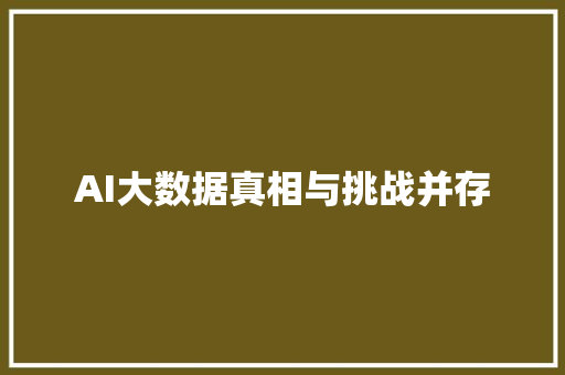 AI大数据真相与挑战并存