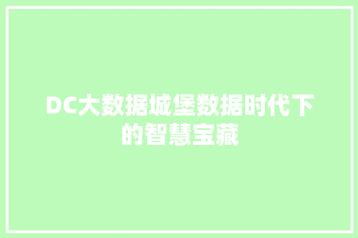 DC大数据城堡数据时代下的智慧宝藏