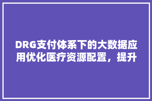 DRG支付体系下的大数据应用优化医疗资源配置，提升医疗服务质量