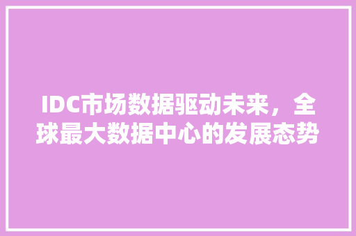 IDC市场数据驱动未来，全球最大数据中心的发展态势