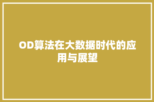 OD算法在大数据时代的应用与展望