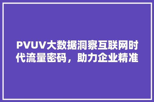 PVUV大数据洞察互联网时代流量密码，助力企业精准营销